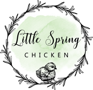 Little Spring Chicken